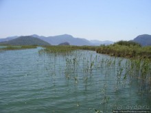 Вдоль залива Гёкова