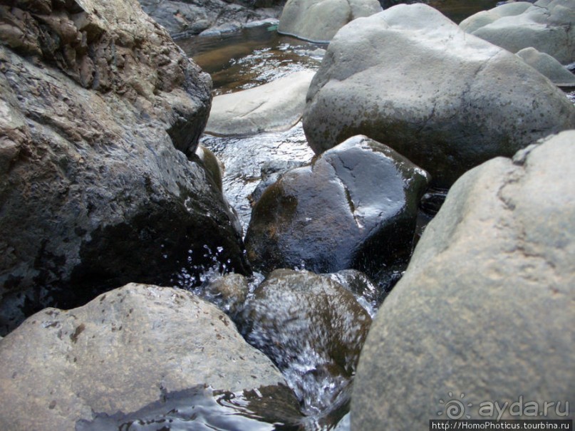 Вдоль залива Гёкова