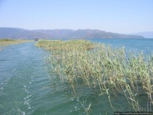 Вдоль залива Гёкова