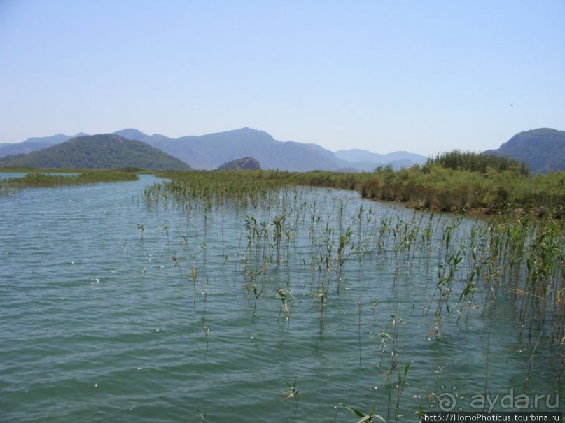 Вдоль залива Гёкова