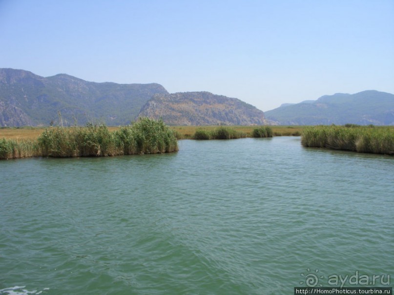 Вдоль залива Гёкова