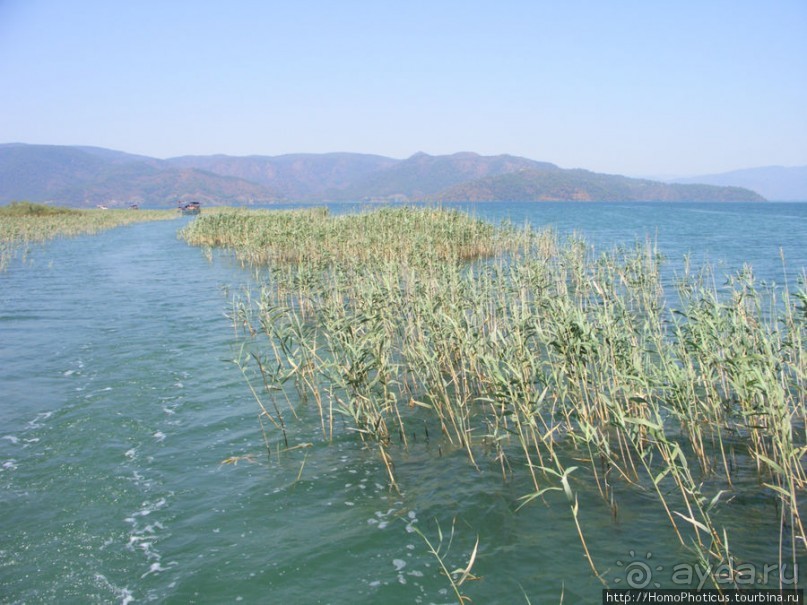 Вдоль залива Гёкова