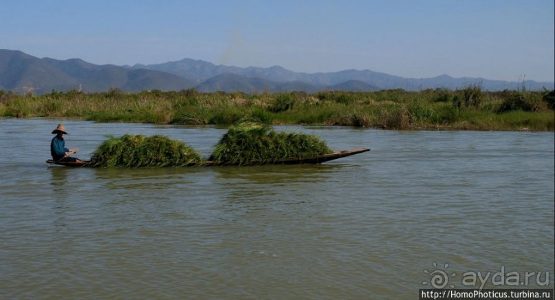 Жизнь на воде