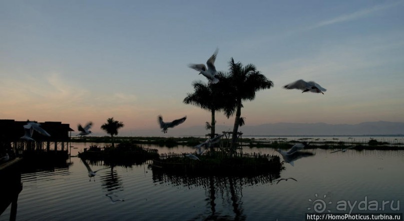 Жизнь на воде