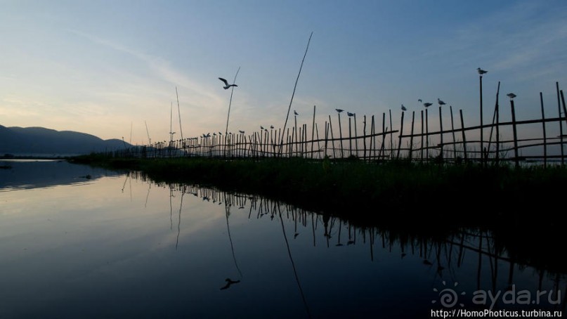 Жизнь на воде