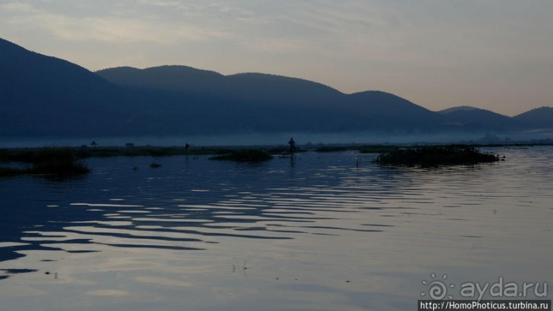 Жизнь на воде