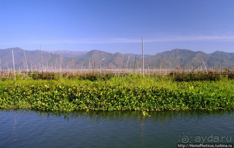 Жизнь на воде