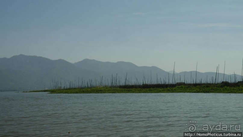 Жизнь на воде