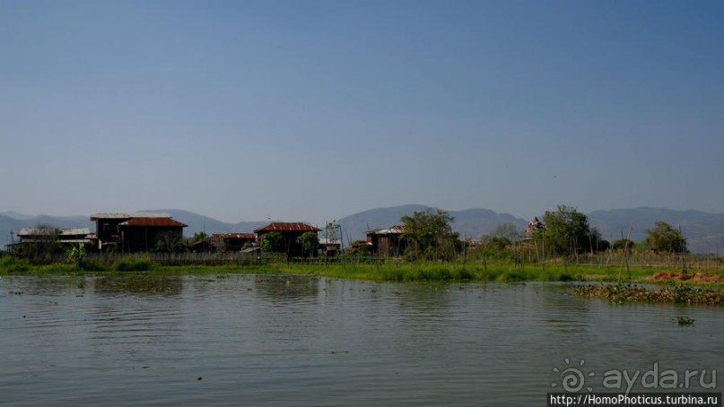 Жизнь на воде