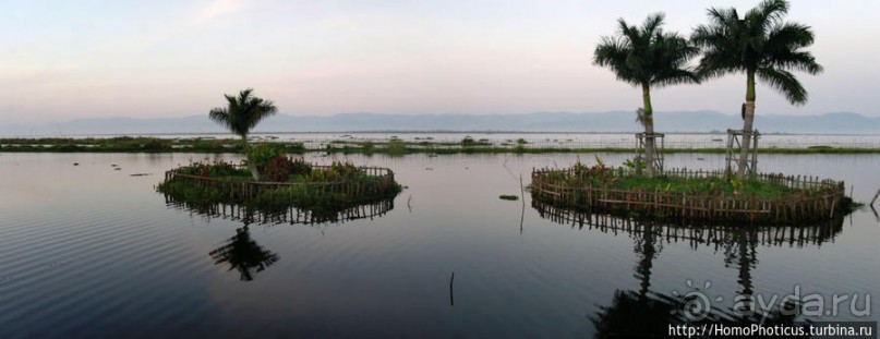 Жизнь на воде