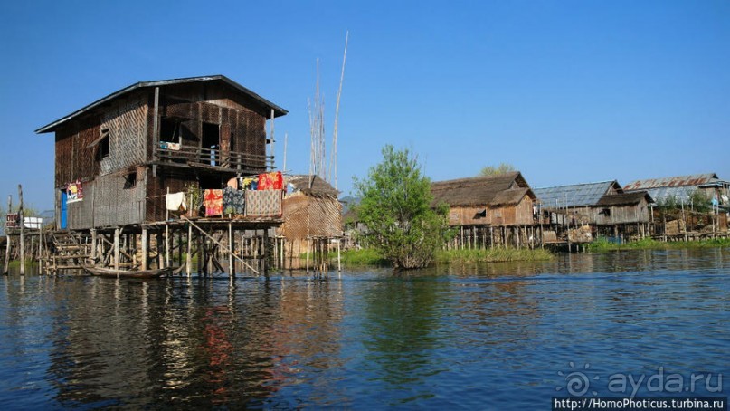 Жизнь на воде