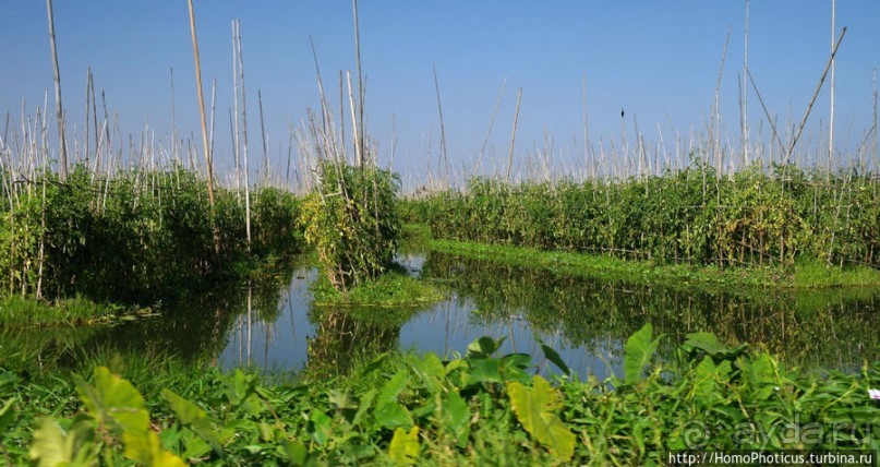 Жизнь на воде