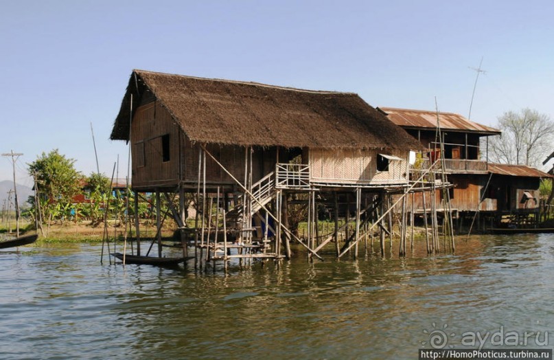 Жизнь на воде