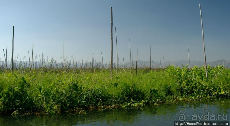 Жизнь на воде
