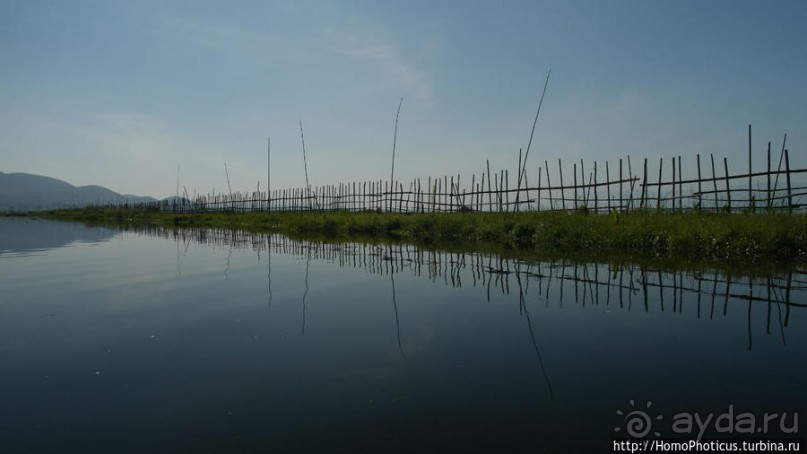 Жизнь на воде
