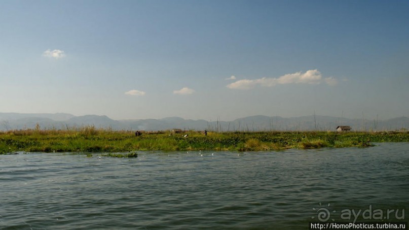 Жизнь на воде