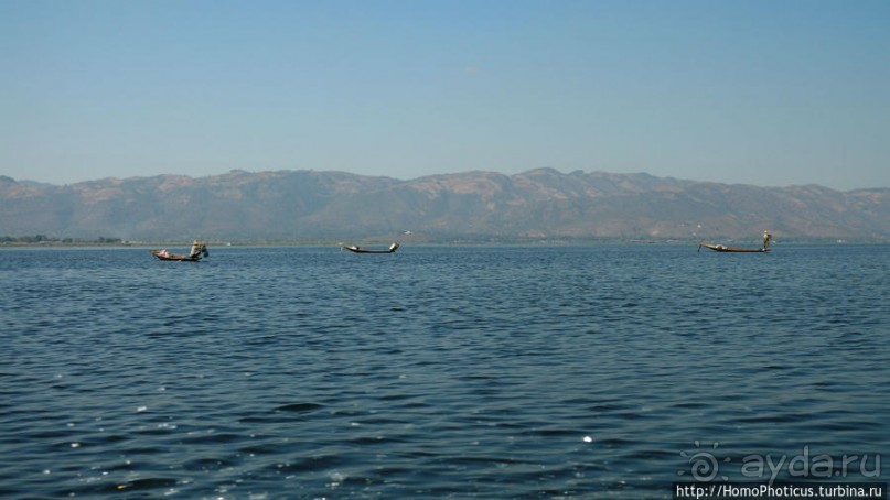 Жизнь на воде