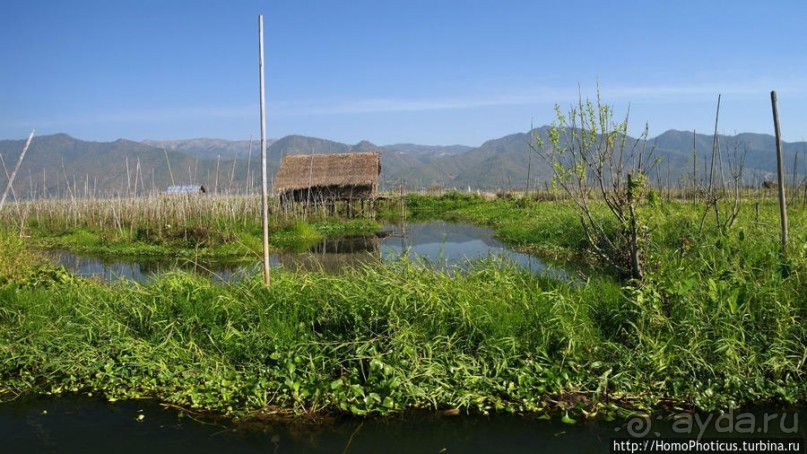 Жизнь на воде