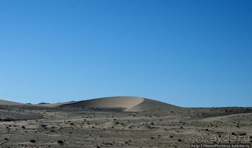 Точка Диаша