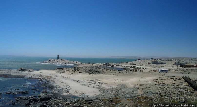 Точка Диаша