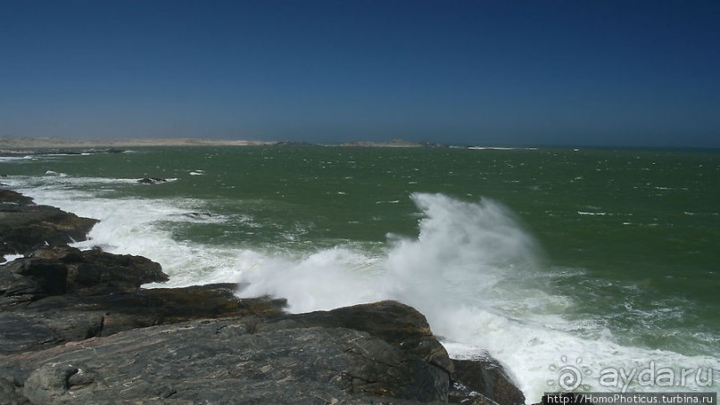 Точка Диаша