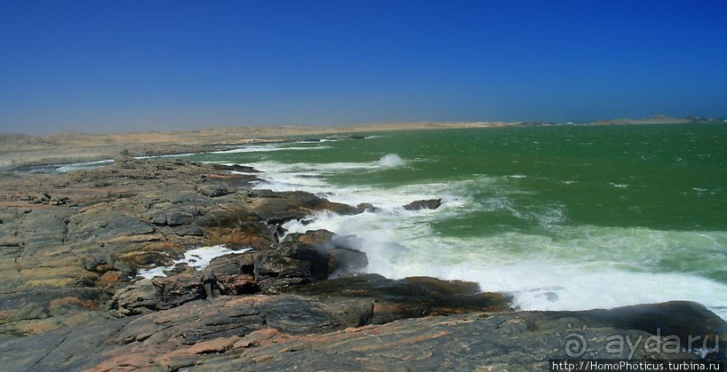 Точка Диаша