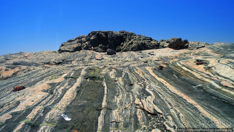 Точка Диаша