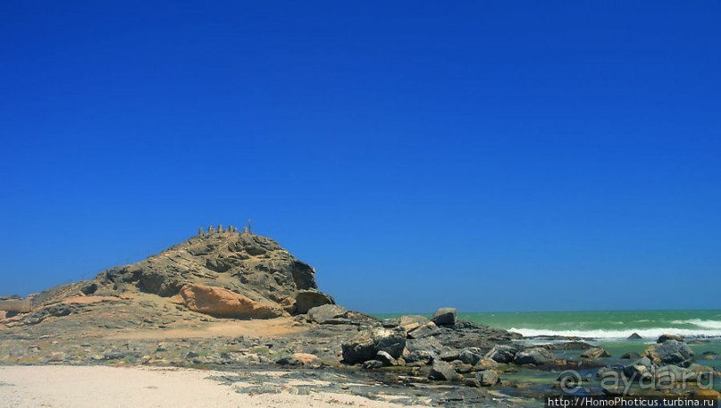 Точка Диаша