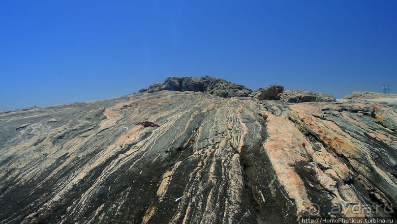 Точка Диаша