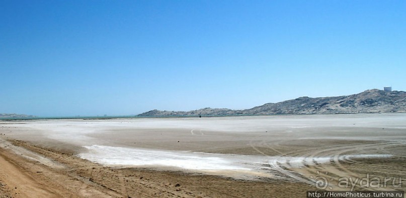 Точка Диаша