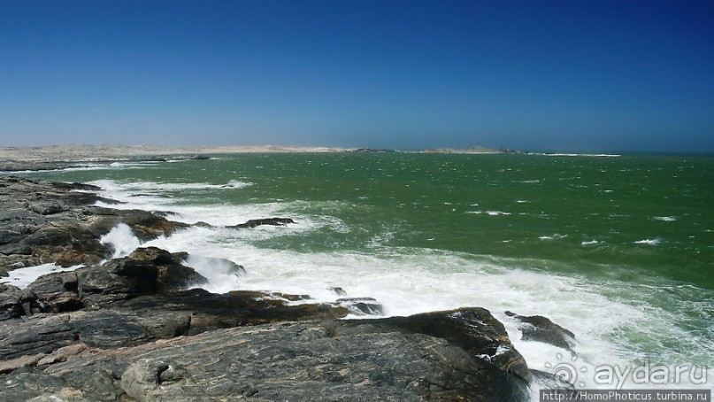 Точка Диаша