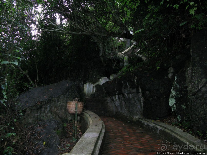 Альбом отзыва "400 ступеней на Гору Чудес"