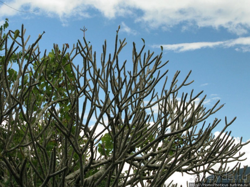 400 ступеней на Гору Чудес