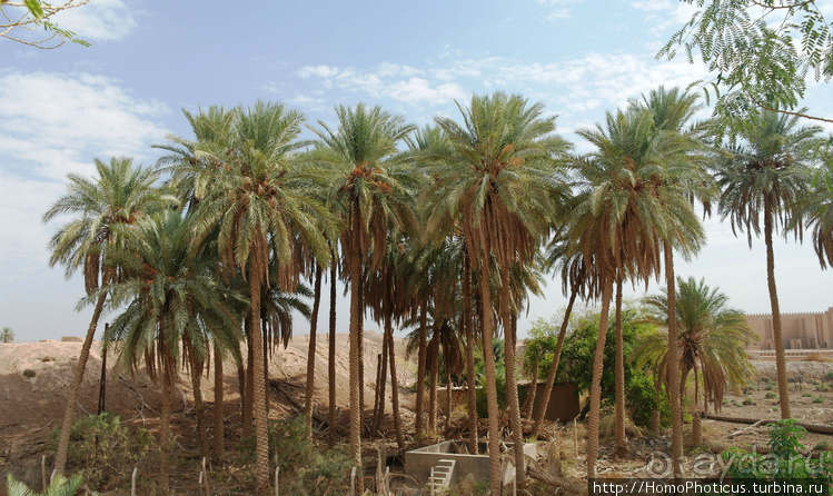 Месопотамские зарисовки. Ч.2 Вавилон, священные города