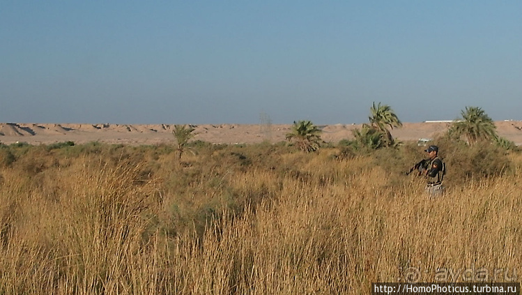 Месопотамские зарисовки. Ч.2 Вавилон, священные города