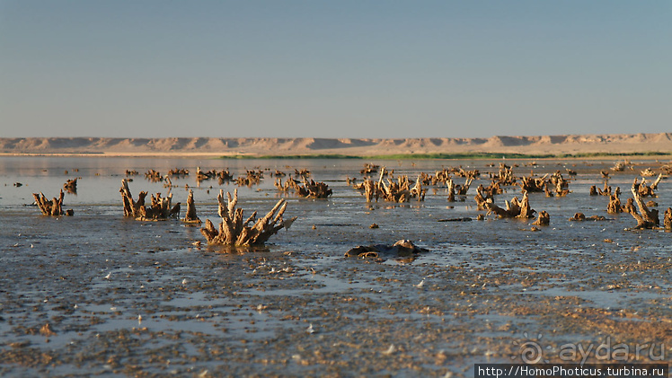 Месопотамские зарисовки. Ч.2 Вавилон, священные города