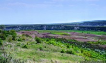 Новый Старый Орхей