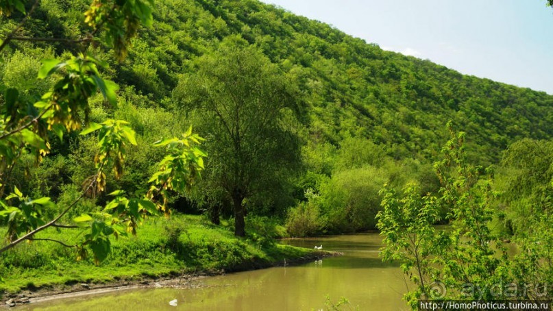 Новый Старый Орхей