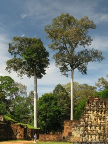 Руины Великой столицы