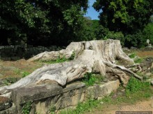 Руины Великой столицы