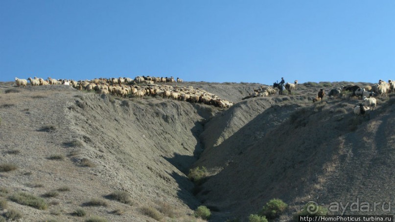 Петроглифы и грязевые вулканы