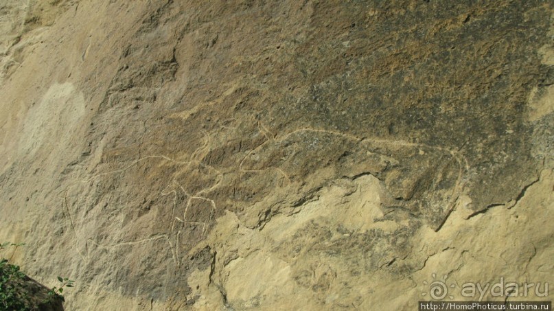Петроглифы и грязевые вулканы