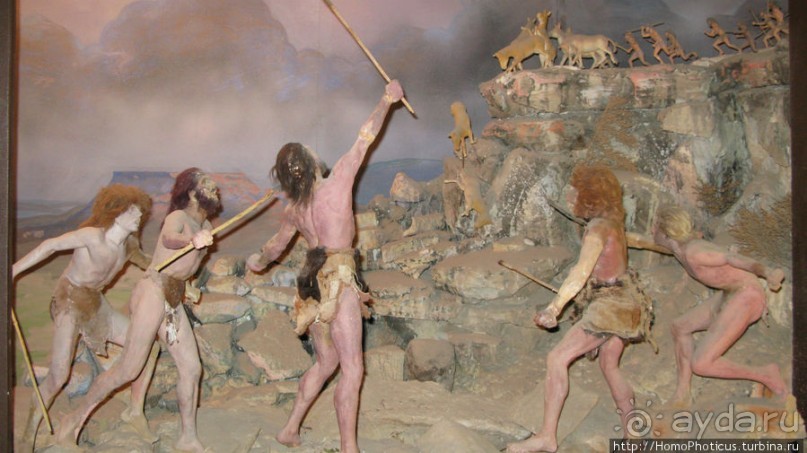 Петроглифы и грязевые вулканы