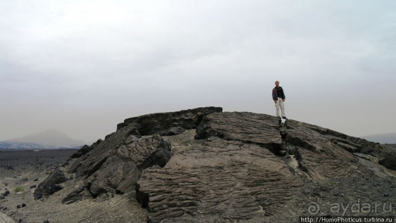 Пироги да слойки