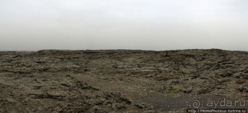 Пироги да слойки