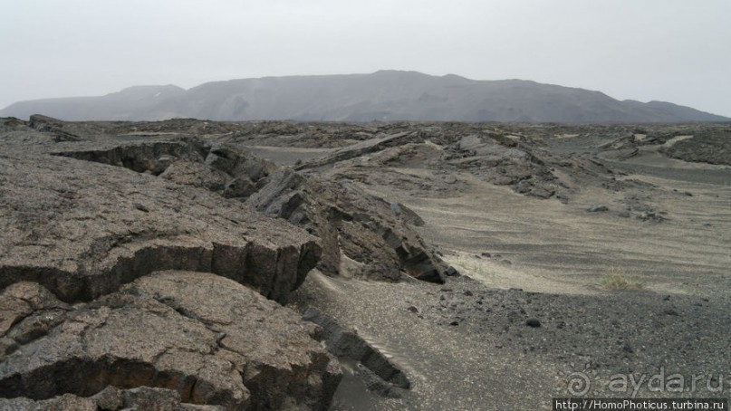 Пироги да слойки