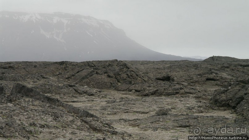 Пироги да слойки