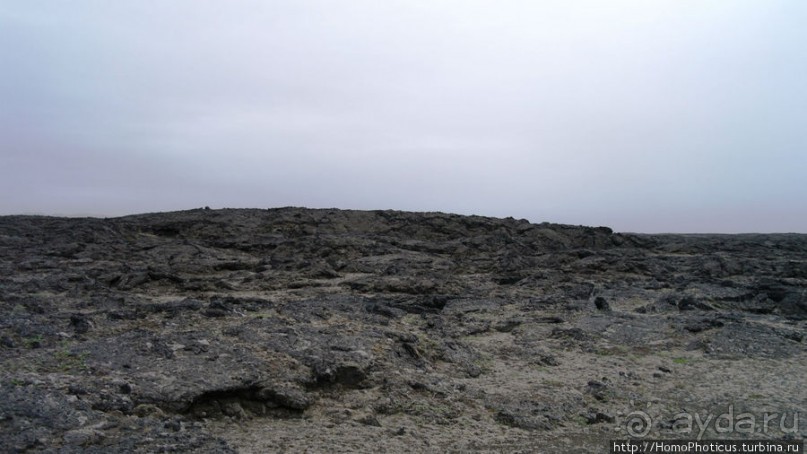 Пироги да слойки