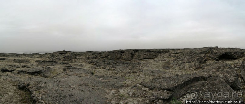 Пироги да слойки