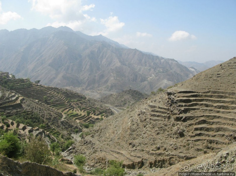 Террасное градостроительство